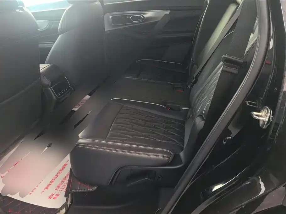 GAC Trumpchi Trumpchi GS8 2024 Navigator Series 2.0TGDI 2WD Luxury Smart Connect Edition фото 11