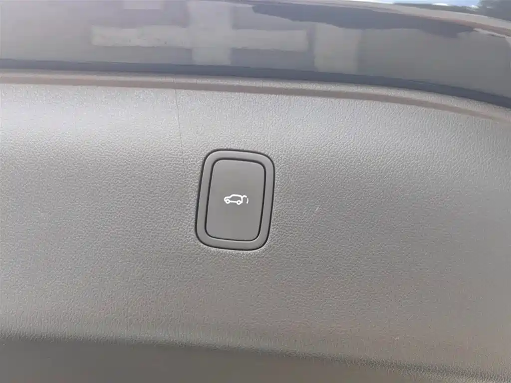 AITO Wenjie AITO M7 2024 Model 1.5T Smart Drive RWD Max 5-Seater фото 21