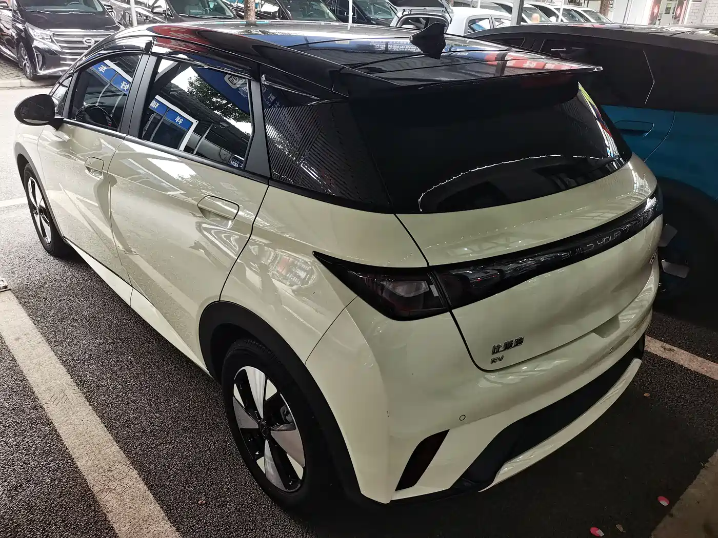 BYD Dolphin 2023 420km Fashion Edition фото 9