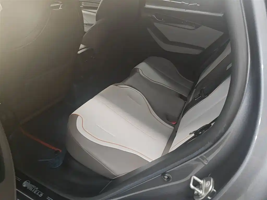 BYD Qin PLUS 2023 Champion Edition DM-i 120KM Leading Type фото 17