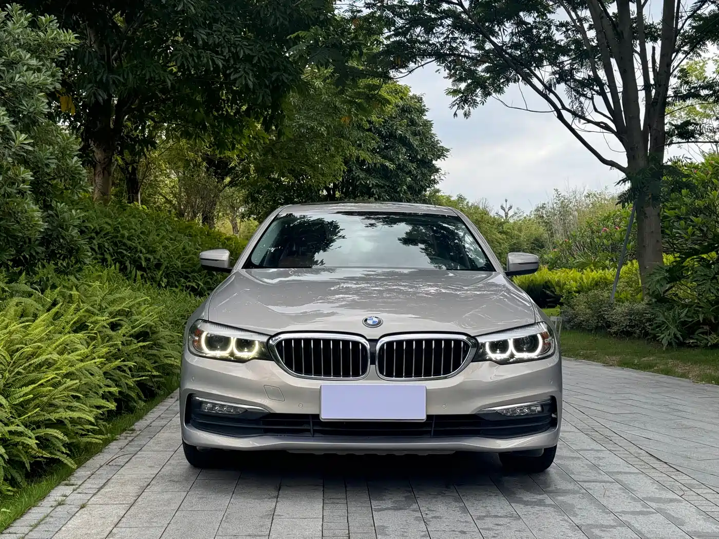 BMW 5 Series 2018 528Li Launch Special Edition фото 2