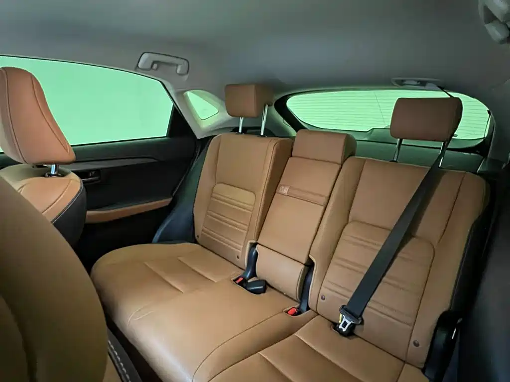 Lexus NX 2020 200 FWD Fengyi Edition China VI фото 13