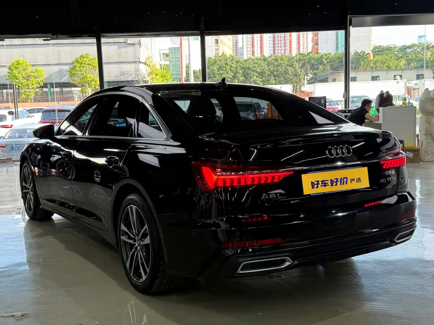 Audi A6L 2021 40 TFSI Luxury Sport фото 11