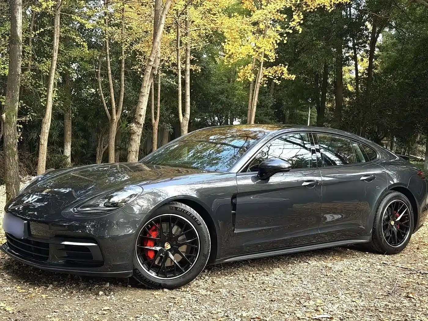 Porsche Panamera 2017 Panamera 3.0T фото 2