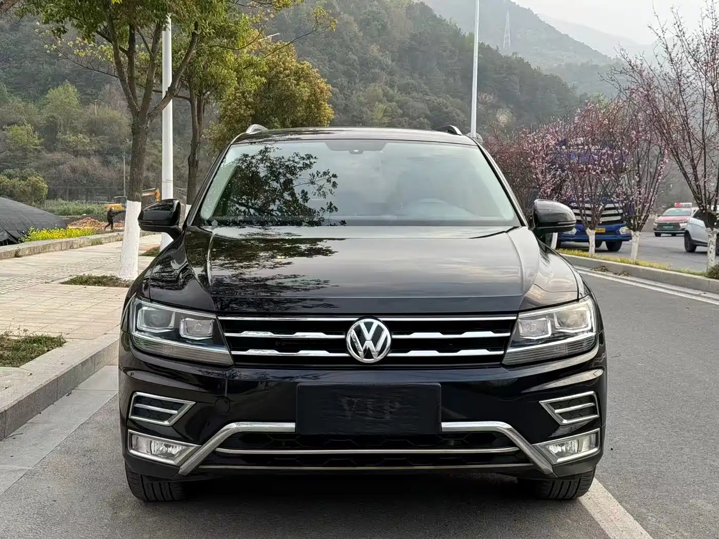 Volkswagen Tiguan L 2019 330TSI Automatic 2WD Panorama Comfort Edition China VI фото 2