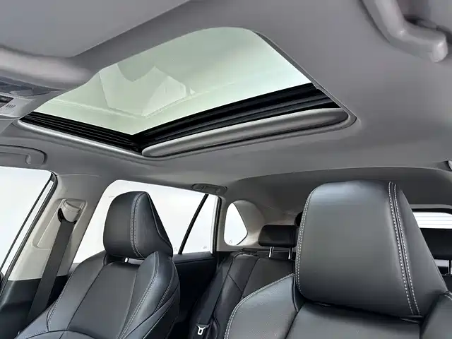 Toyota Wildlander 2021 2.0L CVT 2WD Luxury Edition фото 11