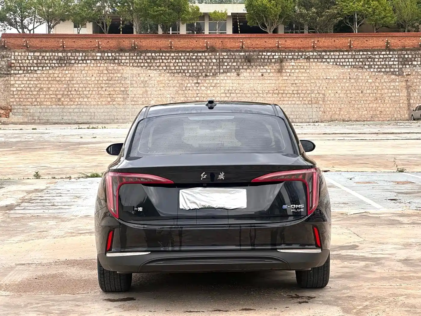 Hongqi E-QM5 2023 Basic Travel Edition фото 8
