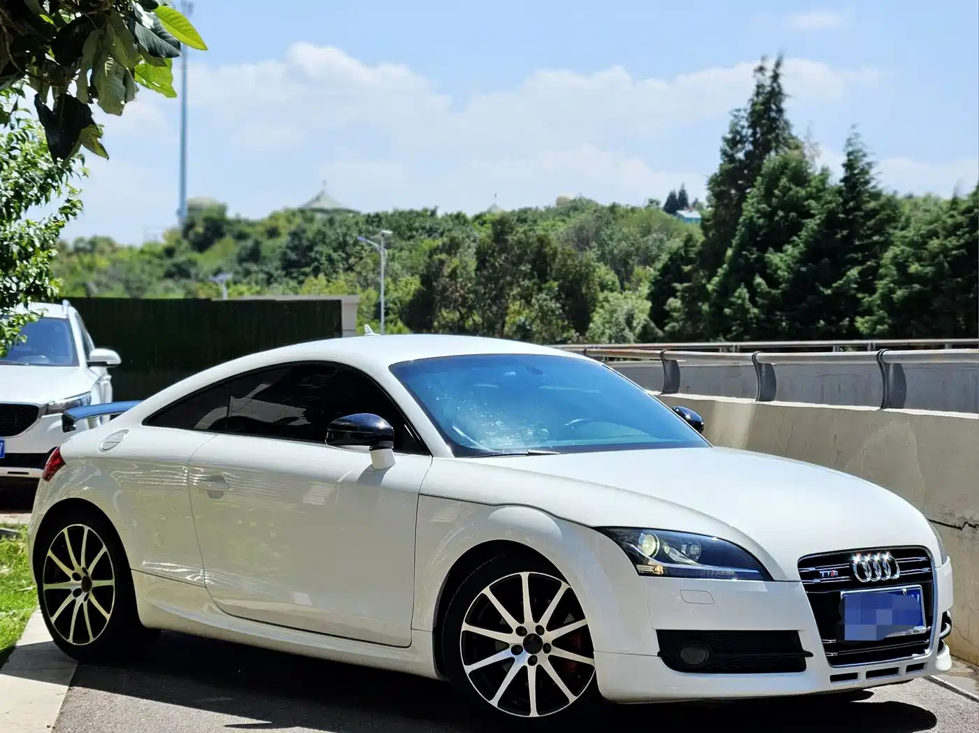 Audi TT 2010 TT 2.0TFSI Collector's Edition фото 3
