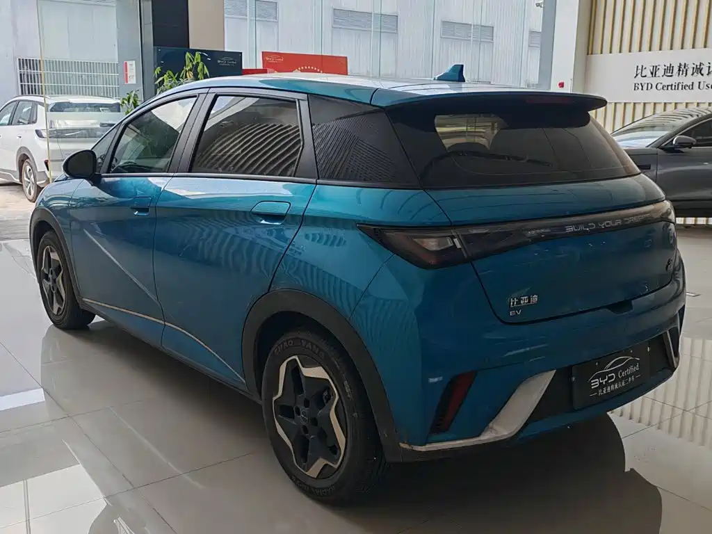 Фото 5 - BYD Dolphin