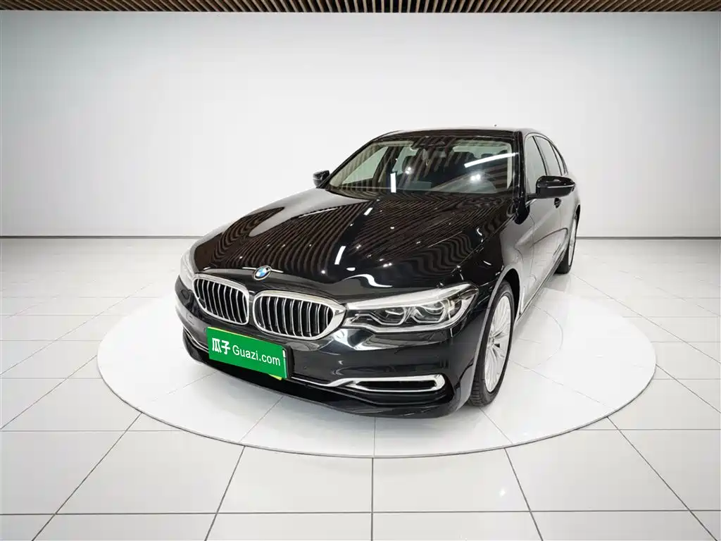 BMW 5 Series New Energy 2019 530Le Luxury Package