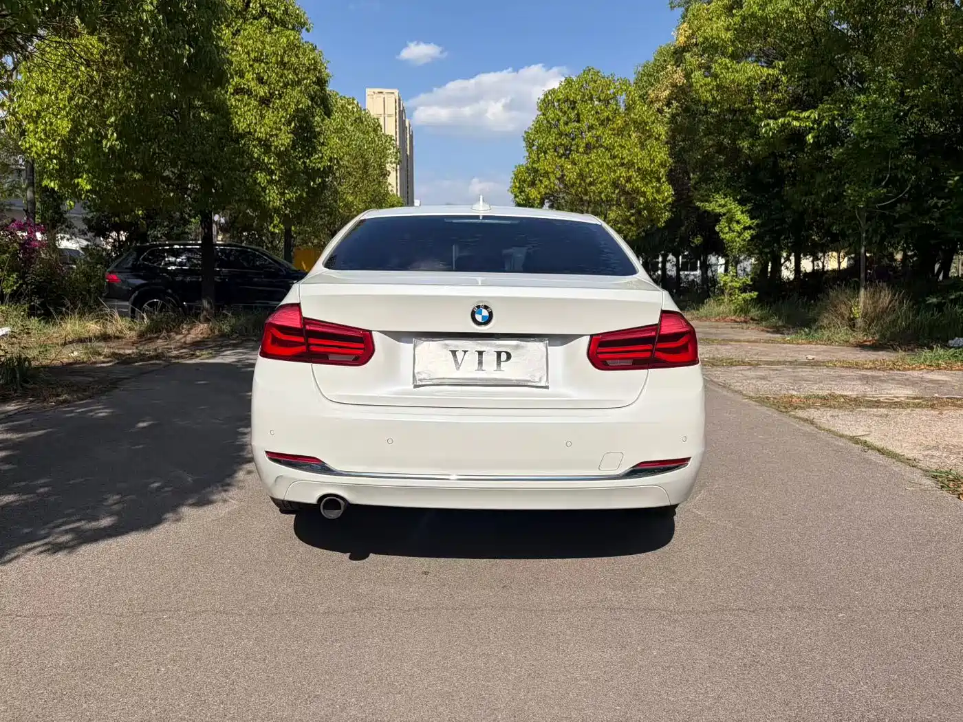BMW 3 Series 2016 320Li Progressive фото 8