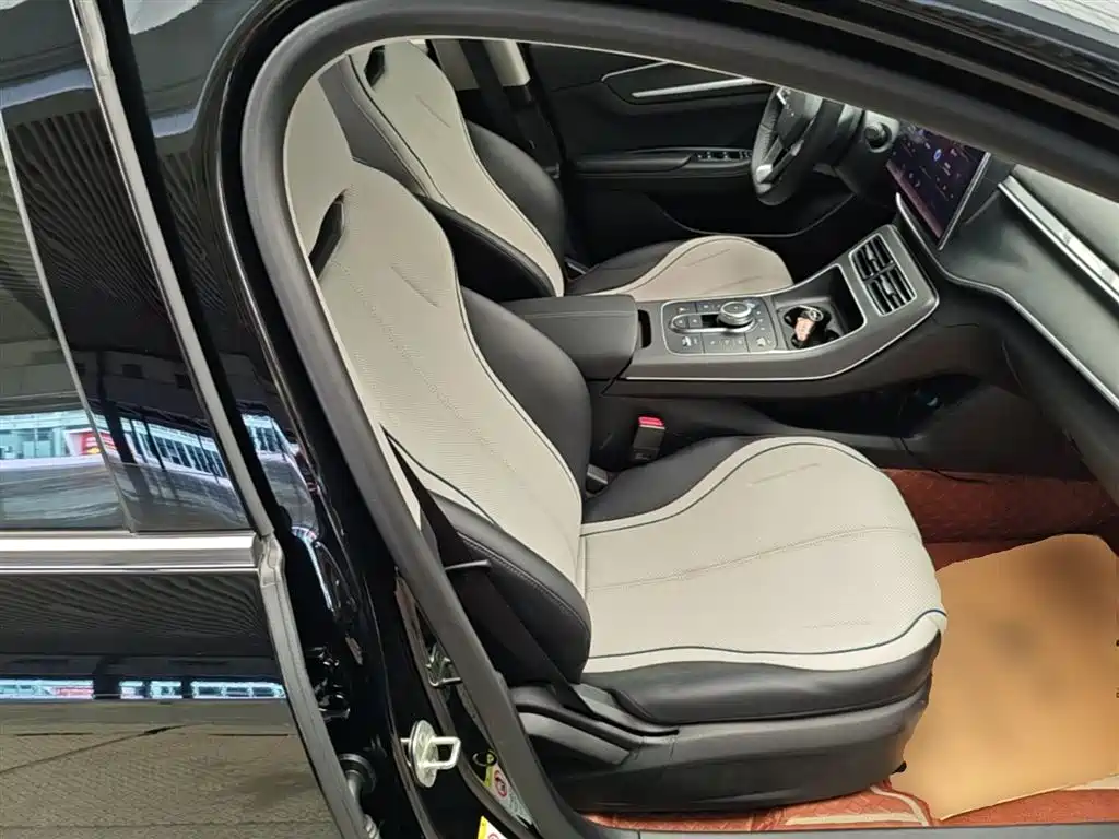 BYD Destroyer 05 2024 Glory Edition DM-i 55KM Luxury фото 25