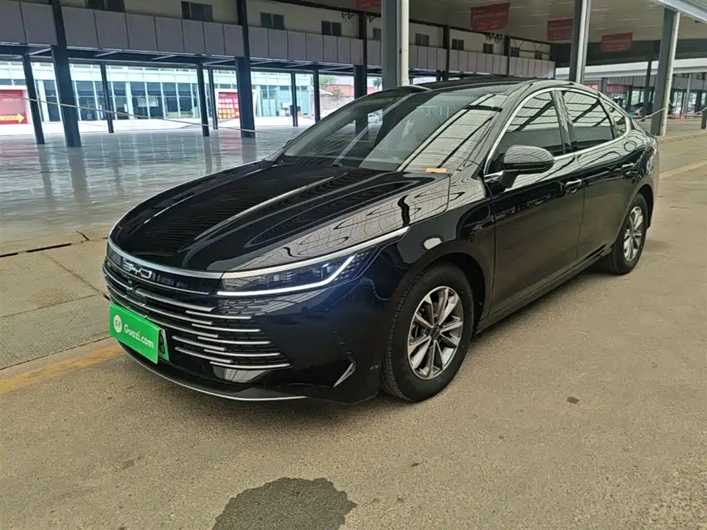BYD Destroyer 05 2024 Glory Edition DM-i 55KM Luxury фото 2