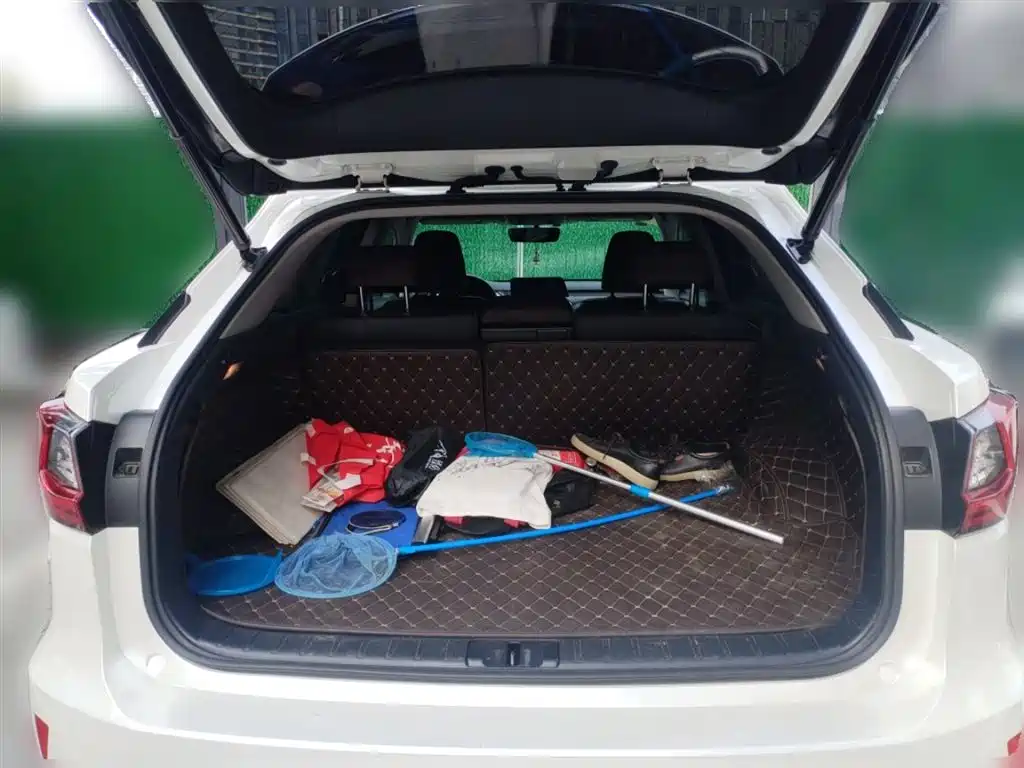 Lexus RX 2016 300 4WD Elegance Edition (China V) фото 10