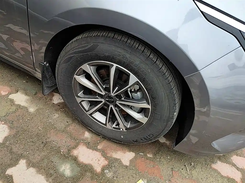 BYD Destroyer 05 2024 Glory Edition DM-i 55KM Luxury фото 14
