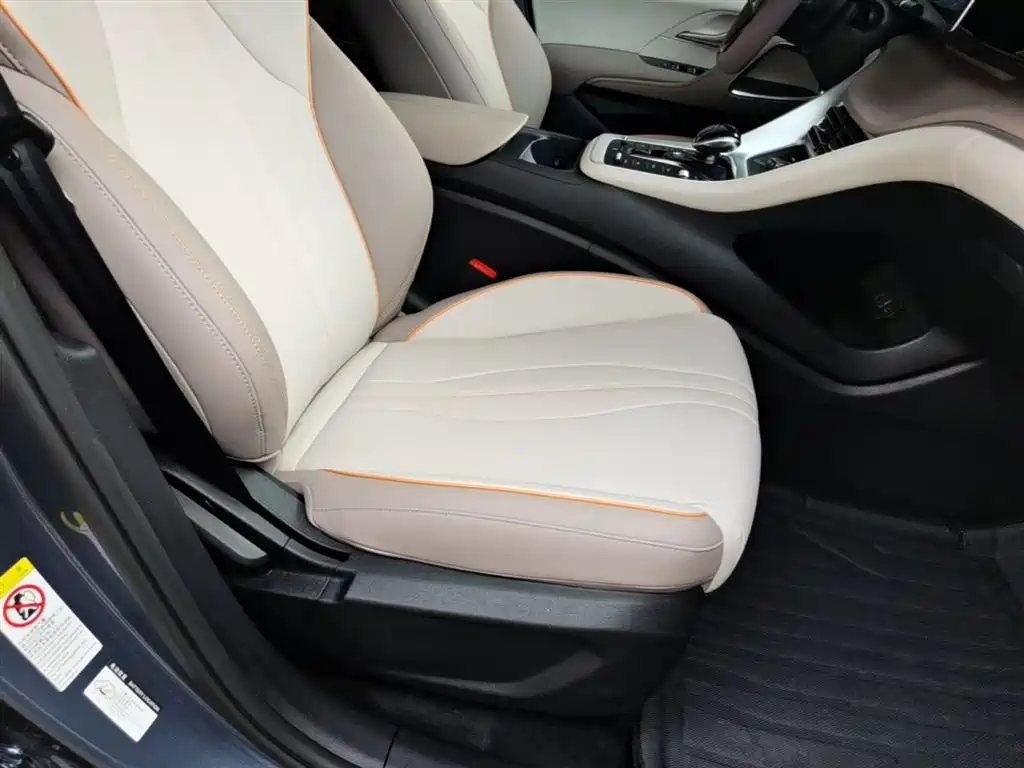 BYD Song Pro New Energy 2024 Glory Edition DM-i 71KM Leading фото 25