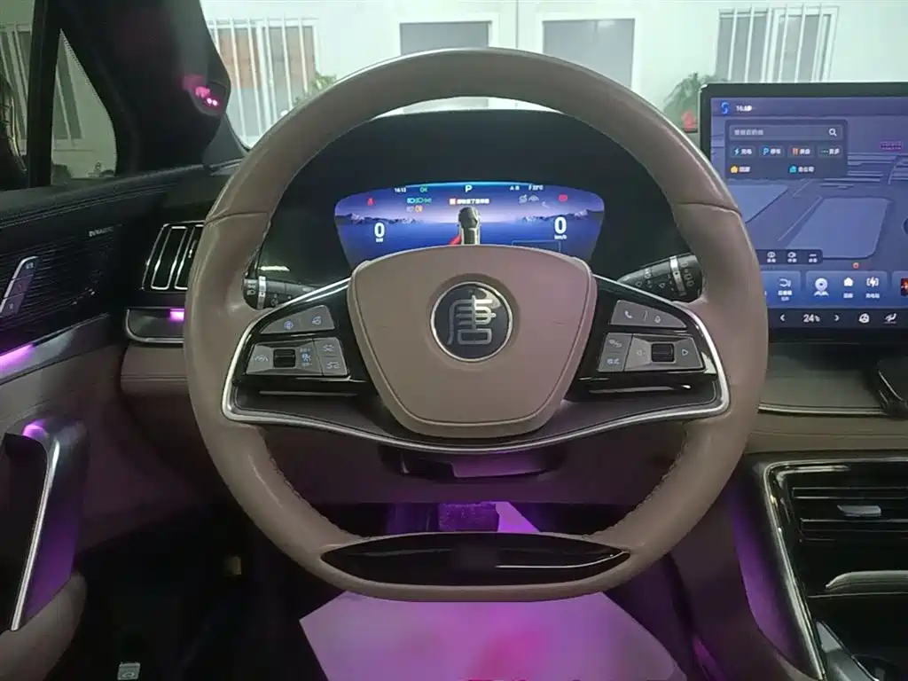 BYD Tang New Energy 2024 EV Glory Edition 730KM Premium фото 11