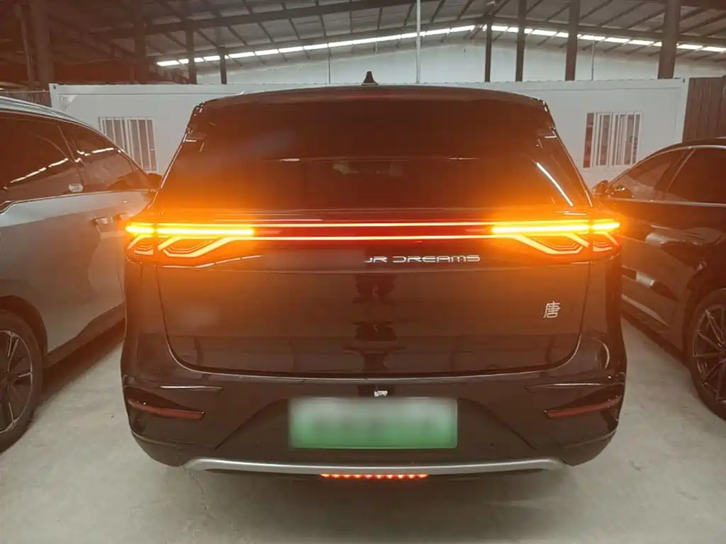 BYD Tang New Energy 2024 EV Glory Edition 730KM Premium фото 6