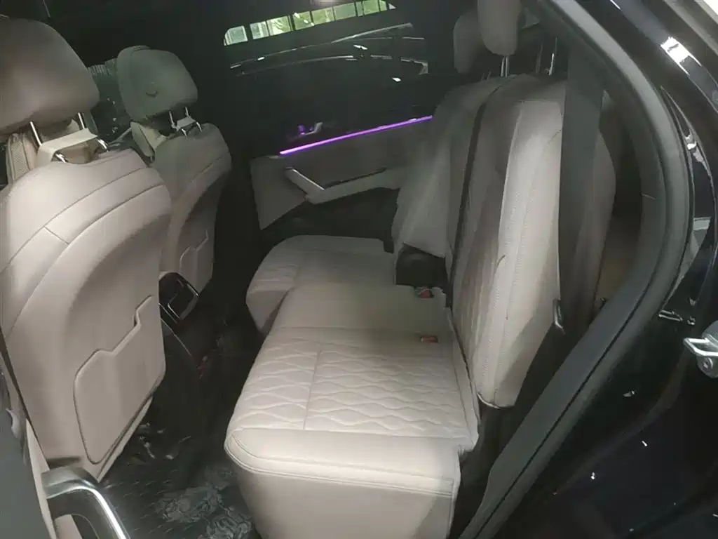 BYD Tang New Energy 2024 EV Glory Edition 730KM Premium фото 17