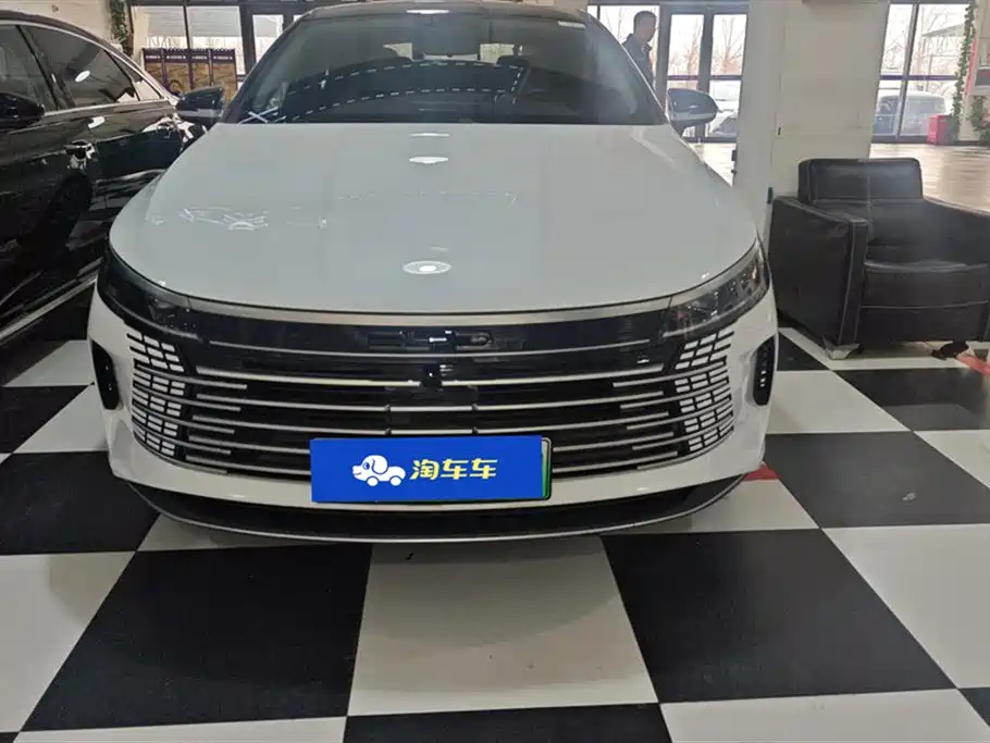 BYD DESTROYER 05