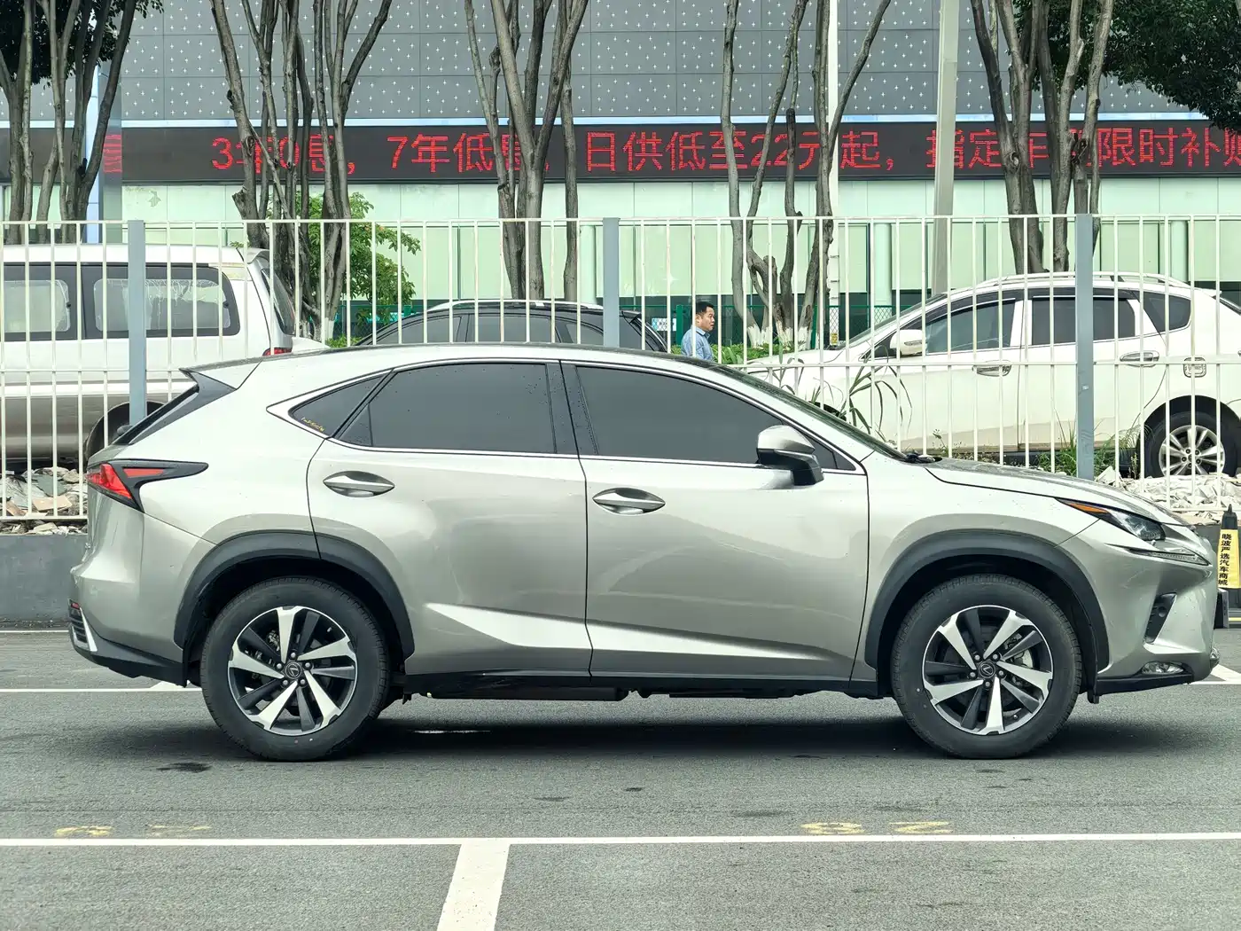 LEXUS NX