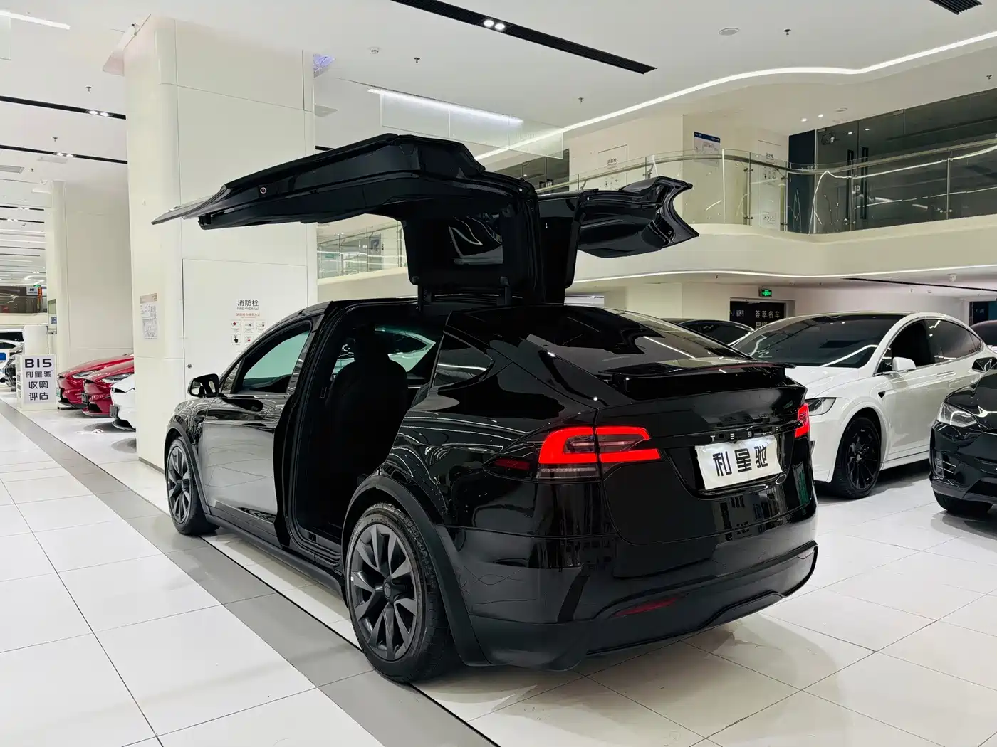 2025 Tesla Model X