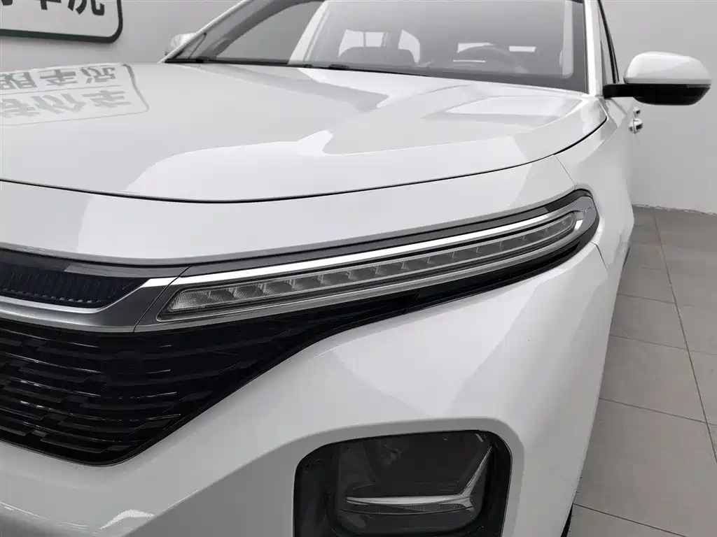 Baojun Valli 2021 1.5T Yili Ranch CVT Luxury фото 7