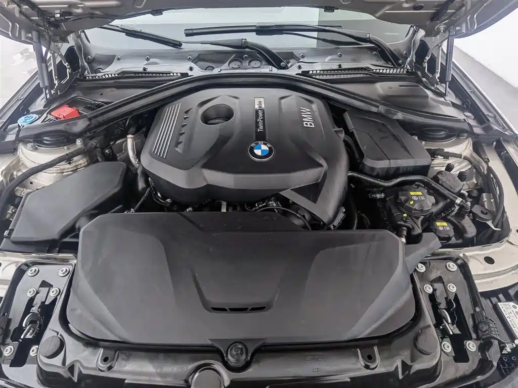 BMW 3 Series 2017 320Li Fashion фото 6