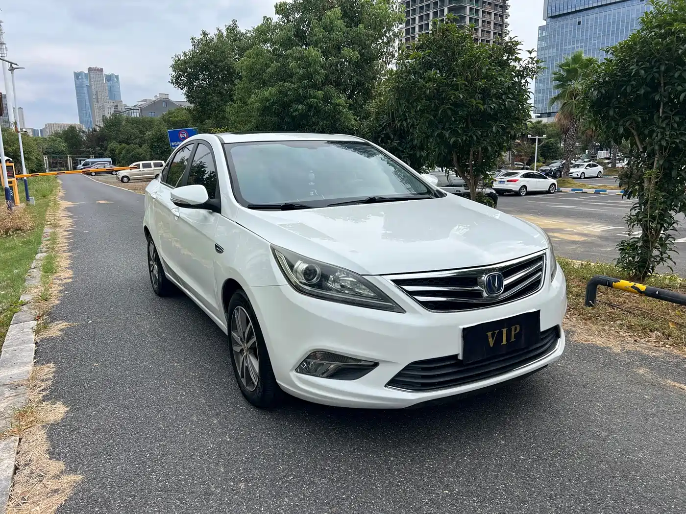 Фото 3 - Changan Eado