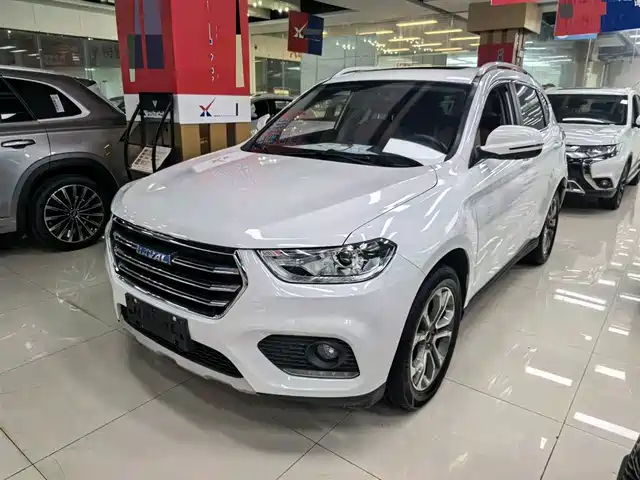 HAVAL H2