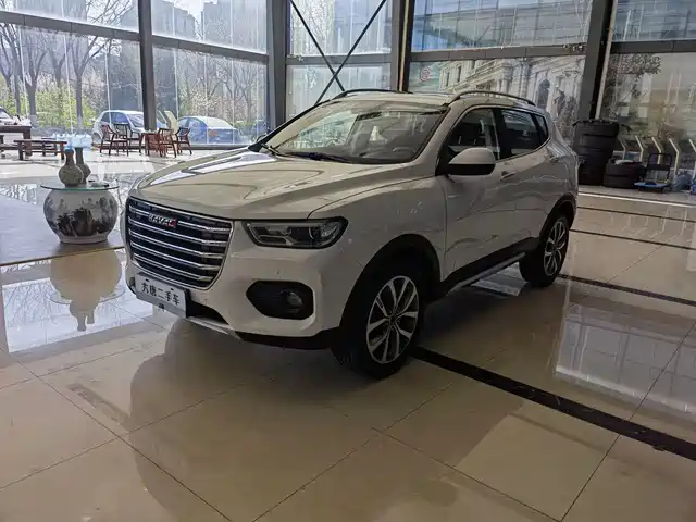 HAVAL H2S
