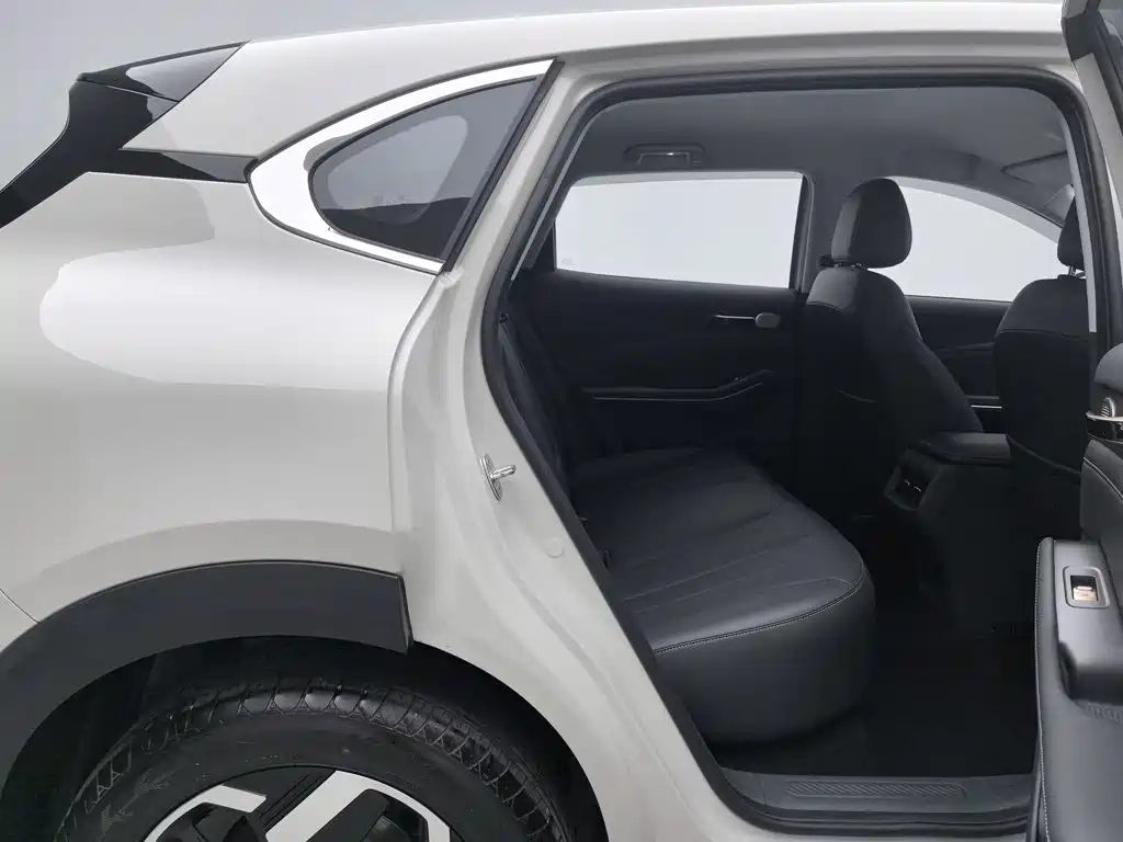 Baojun Yunhai 2025 2026 Model 500km Pure Electric Standard