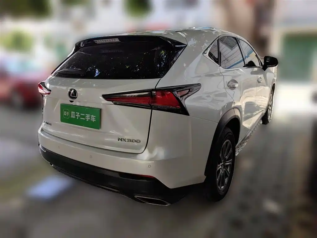 Lexus NX 2018 Model 300 FWD Fengxing Edition фото 5