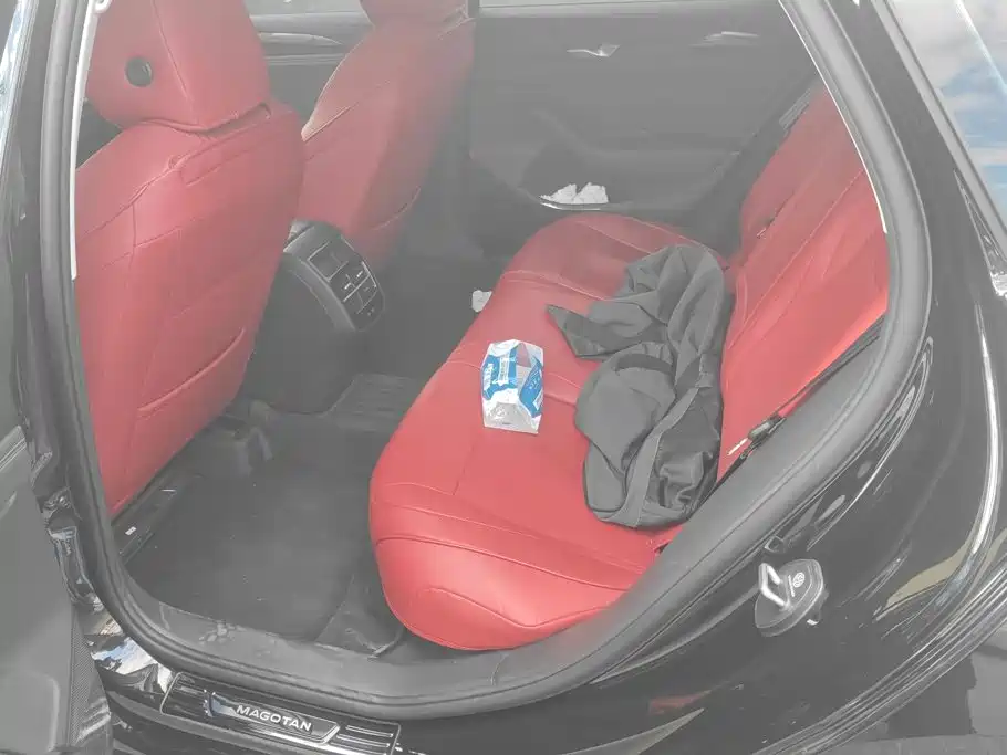 Volkswagen Magotan, миниатюра 11