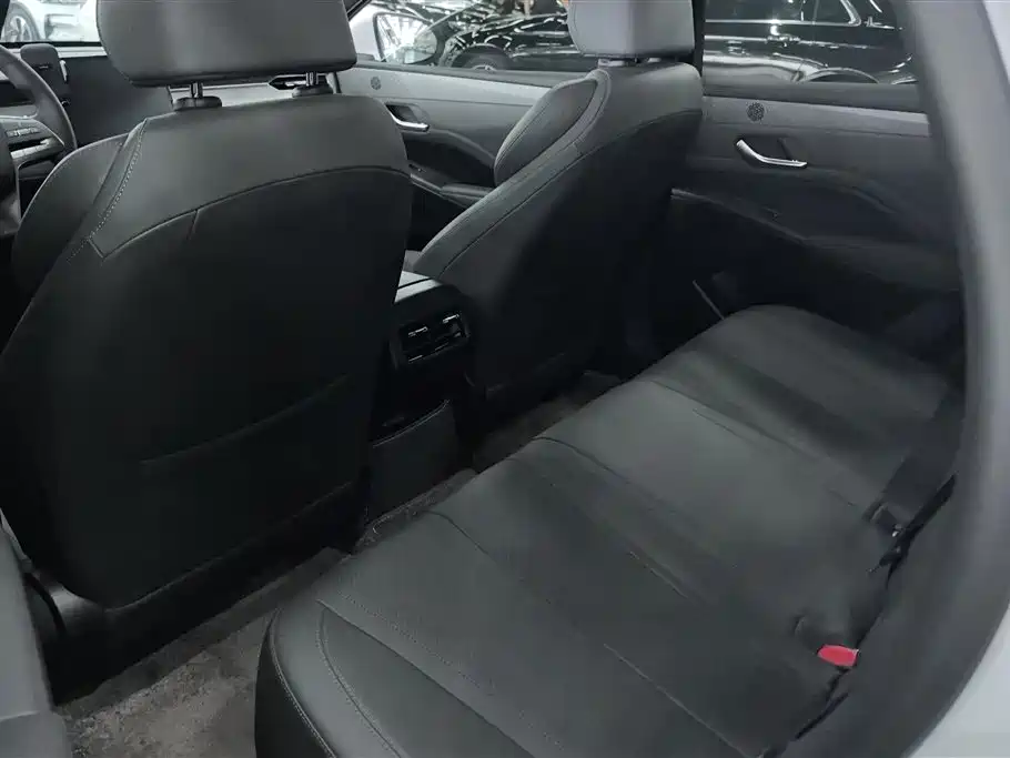 BYD Qin PLUS 2025 DM-i Smart Drive 55KM Leader фото 10