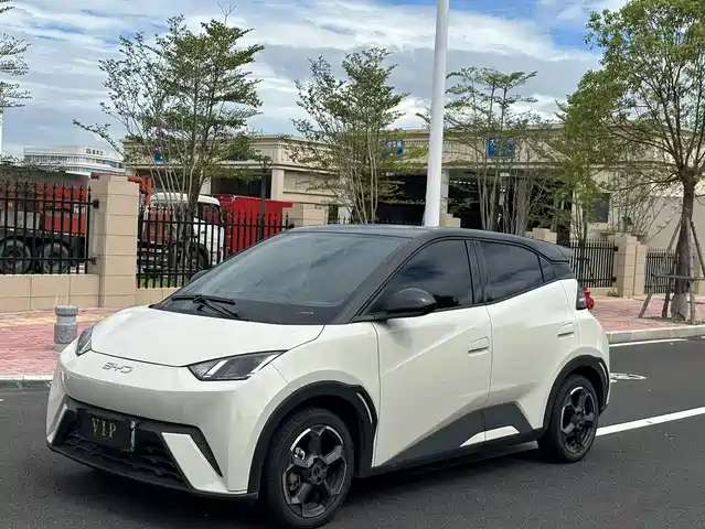 BYD Seagull Слава, 305km, Энергия