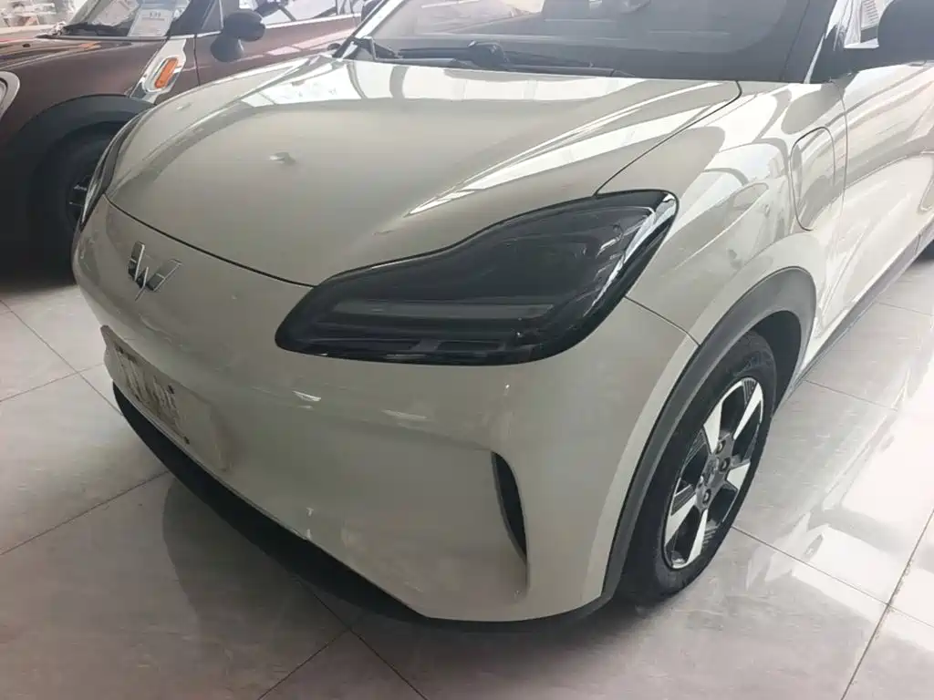 Wuling Motors Wuling Binguo PLUS 2025 2024 Model 330km 5-Seater