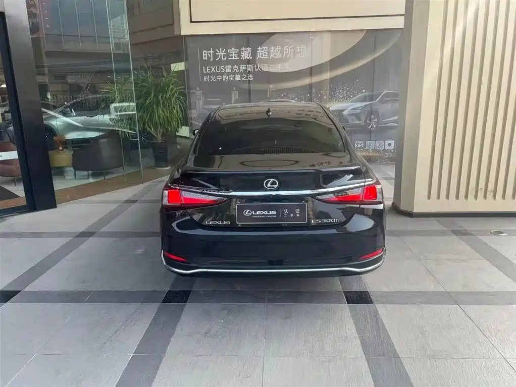 Lexus ES 2021 300h Excellence Edition фото 2