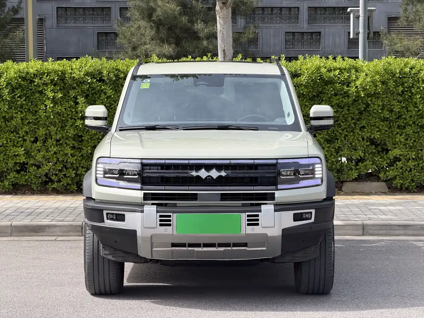 FANG CHENG BAO LEOPARD 5