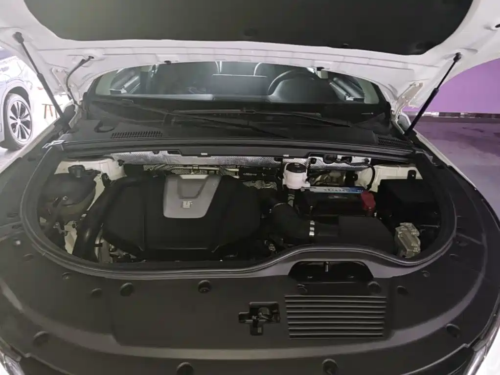 BYD Tang 2019 2018 2.0T Automatic Smart Connection Honor Edition 7-Seater China V