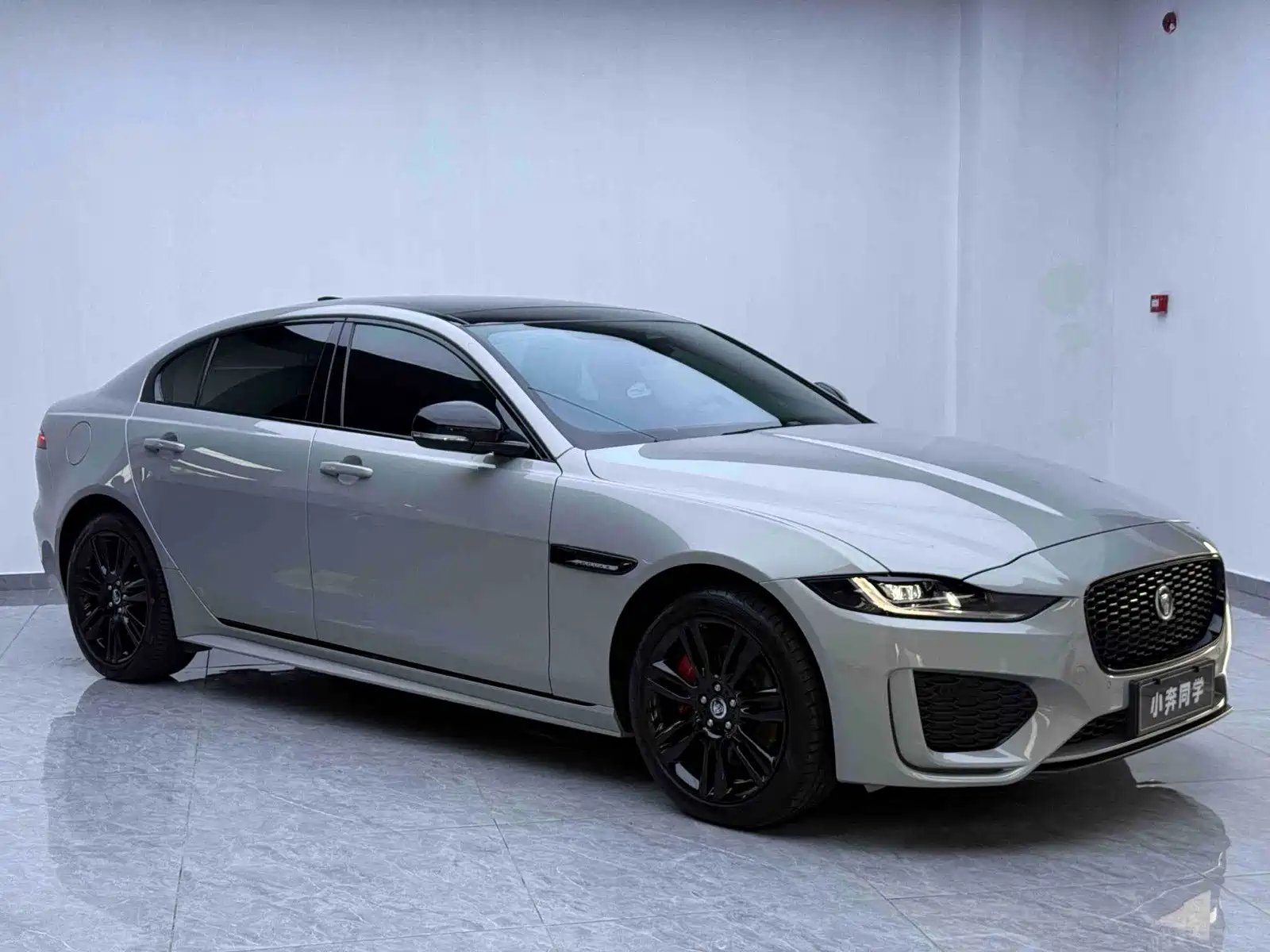 صورة 3 - Jaguar XEL