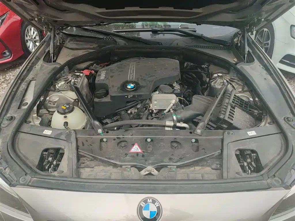 BMW 5 Series 2017 525Li Luxury Design Package фото 20