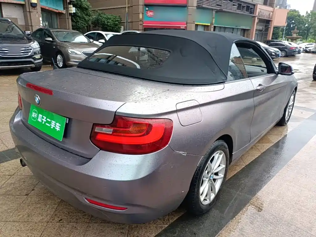 Photo 7 - BMW 2 Series (Import)