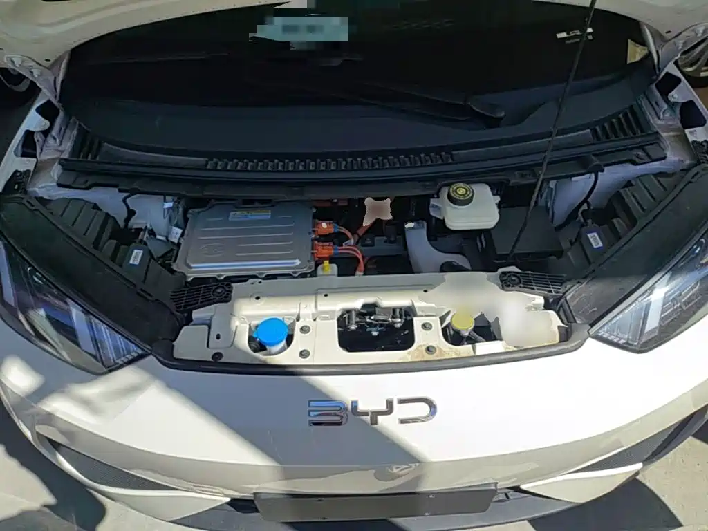 BYD Seagull 2026 2025 Smart Drive Edition 305km Vitality Version