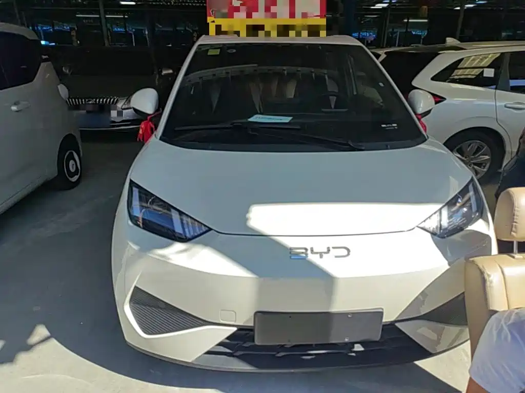 BYD Seagull 2026 2025 Smart Drive Edition 305km Vitality Version