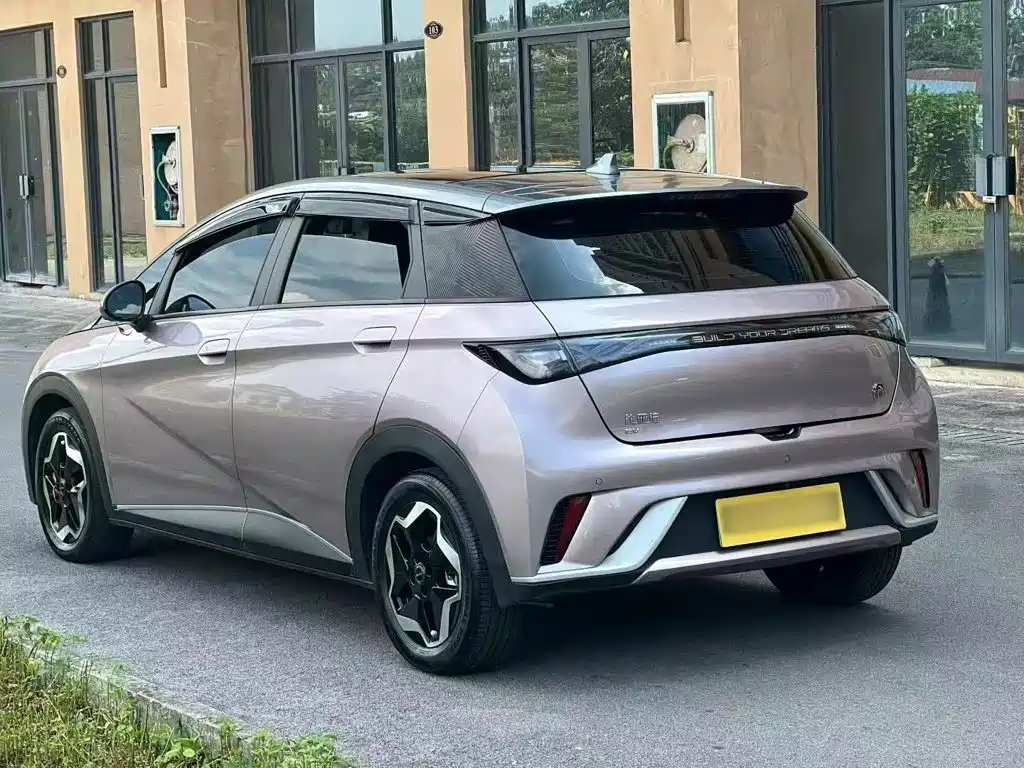 BYD Dolphin 2022 2021 Model 405km Fashion Edition