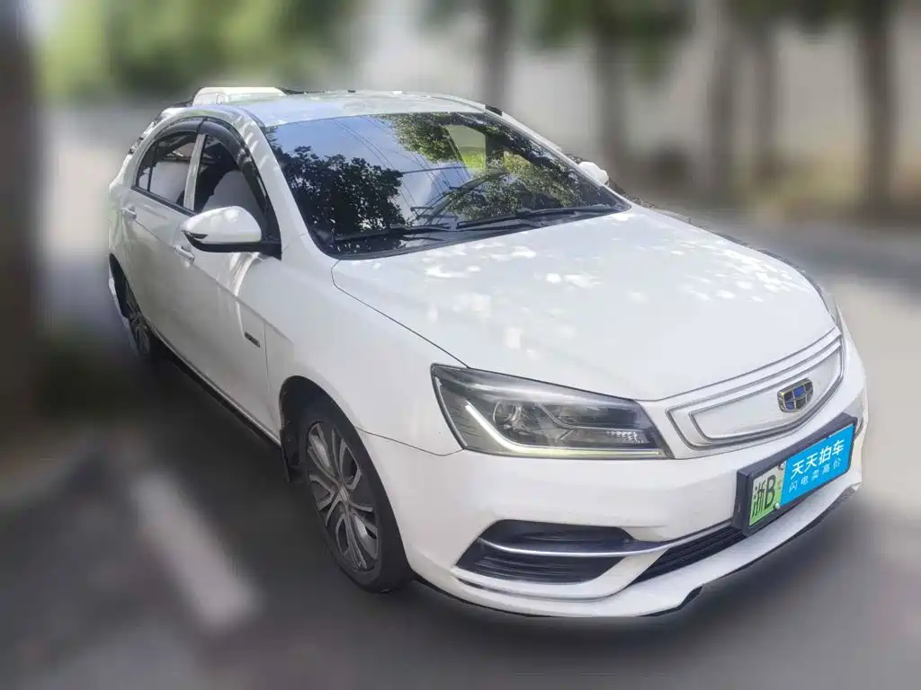 Geely Emgrand New Energy 2018 2018 EV450 Progressive