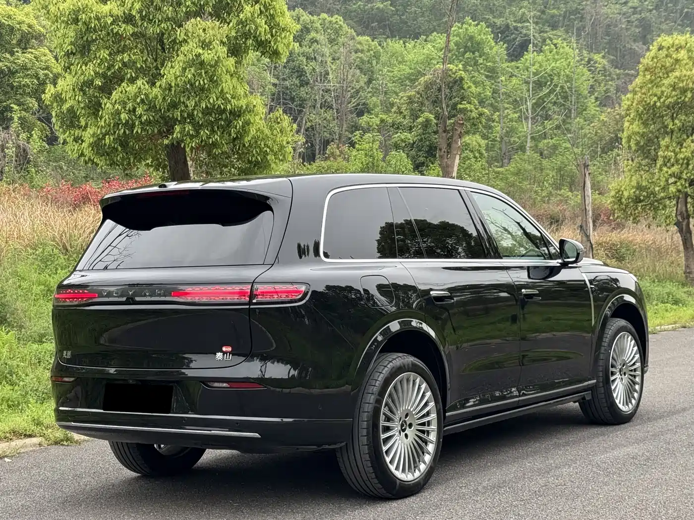 Voyah Auto VOYAH Taisan 2026 Model Base фото 5