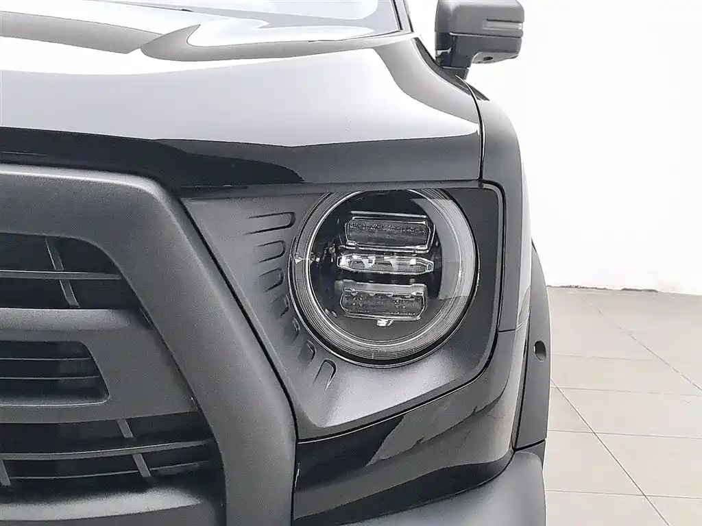 Haval Big Dog 2024 2.0T DCT Chinese Rural Dog Edition фото 7