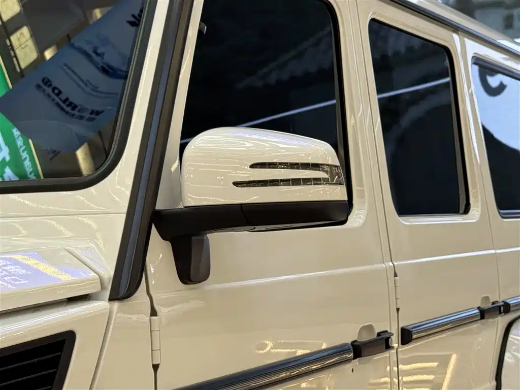 Mercedes-Benz G-Class 2016 G 500 фото 24
